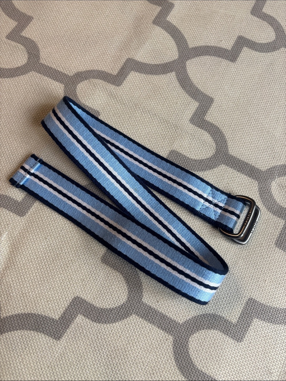 Polo by Ralph Lauren Light Blue and Navy Striped Webbing Strap with Metal D-Ring